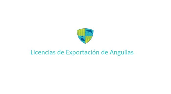 Licencias de Exportación de Anguilas