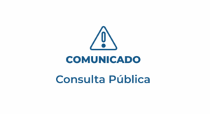 CONSULTA PÚBLICA