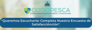 ¡Tu opinión importa!